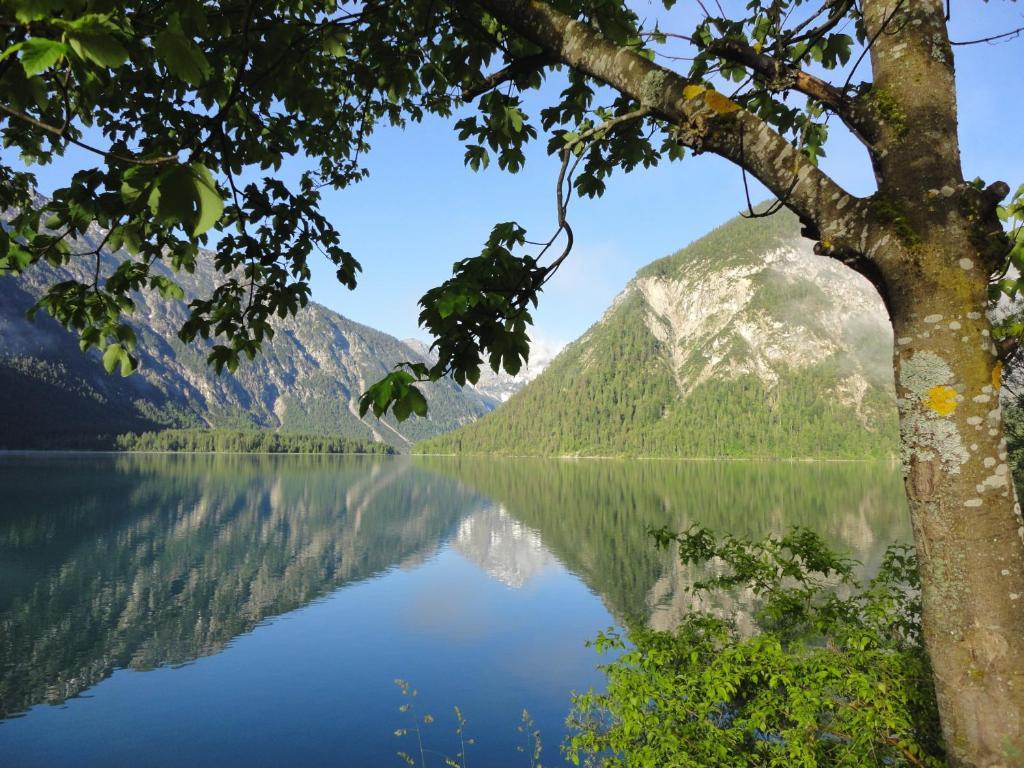 Alpenhotel Ammerwald Ройте Экстерьер фото